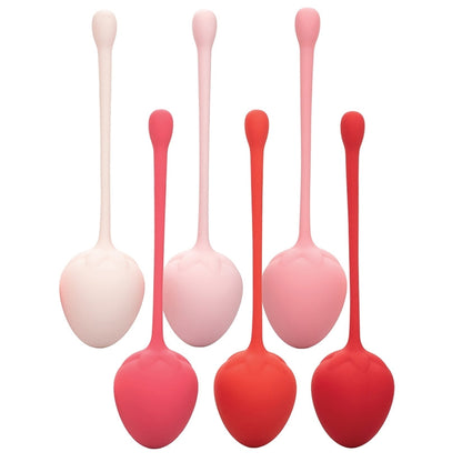 Kegel Training Set